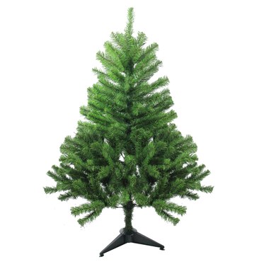  5 FT