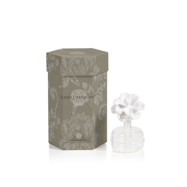 White Hibiscus