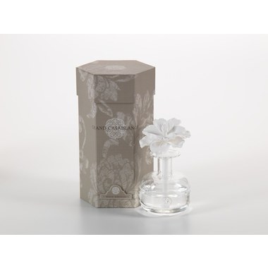 White Hibiscus