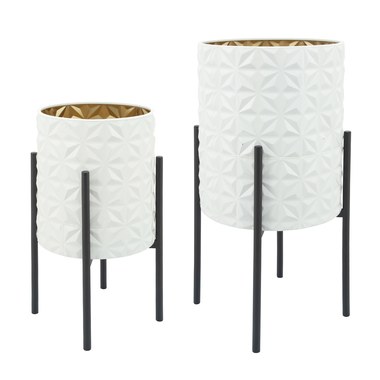 White/Gold/Black