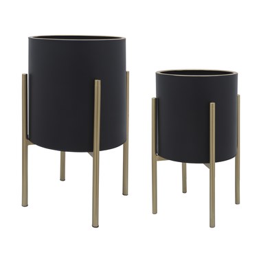 Black/Gold