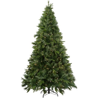  9.5 FT