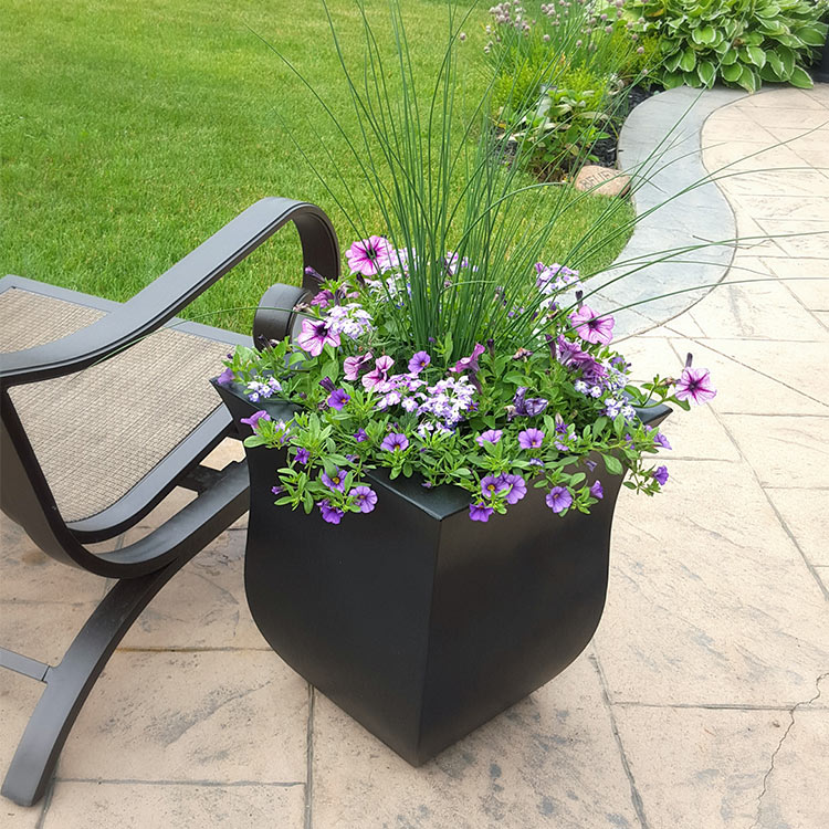 Add fullness to your potted garden arrangement with filler plants.