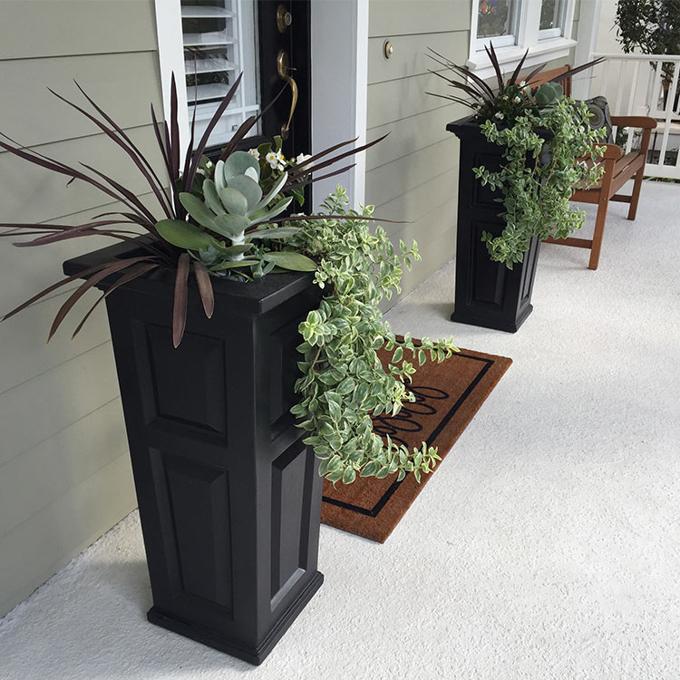 Following the recipe of using thrillers, fillers, and spillers when designing your container garden will make creating beautiful arrangements as easy as 1-2-3.