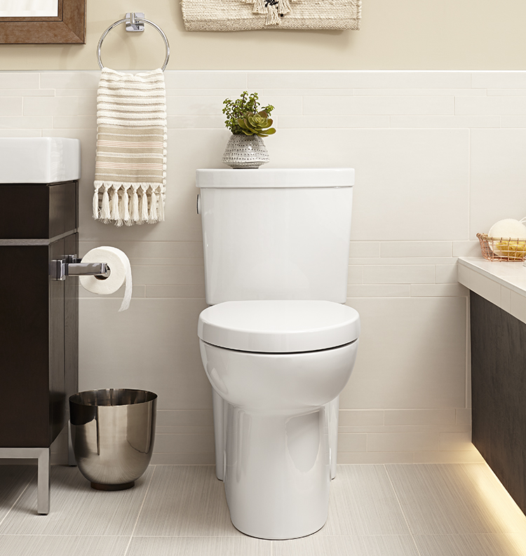 Choosing a New Toilet